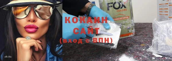 стафф Богданович