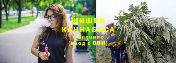 стафф Богданович