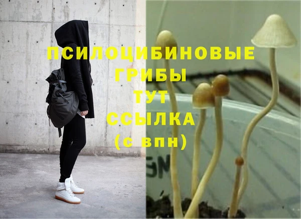 бутират Богородицк
