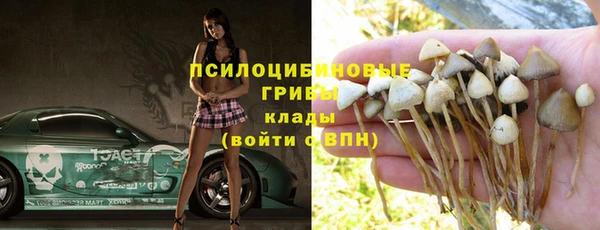 хмурый Богородск