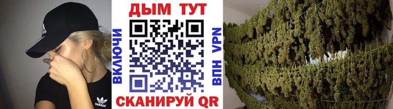 Купить где Горячий Ключ Бошки марихуана Amnesia